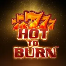 hot to burn game