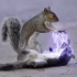 avatar du joueur 
