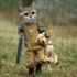 avatar du joueur 